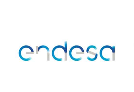 Tout savoir sur Endesa, fournisseur de gaz pour les professionnels