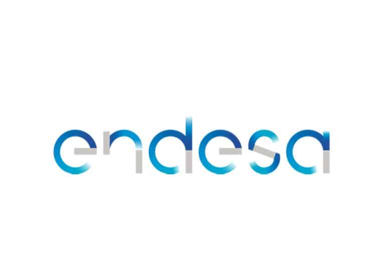 Tout savoir sur Endesa, fournisseur de gaz pour les professionnels